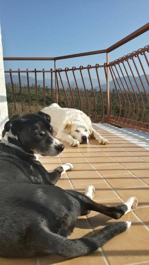 Bed and Breakfast L'Arcadia Giffoni Sei Casali Exterior foto