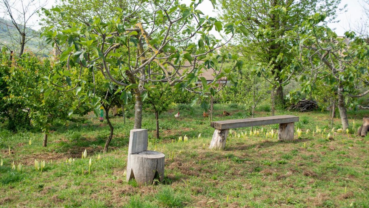 Bed and Breakfast L'Arcadia Giffoni Sei Casali Exterior foto